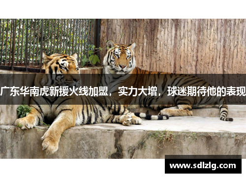 广东华南虎新援火线加盟，实力大增，球迷期待他的表现
